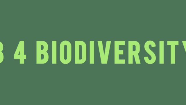 B 4 Biodiversity